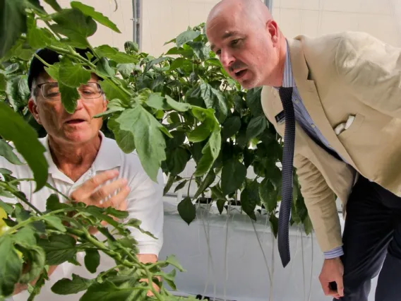 Person showing another a plant at Greenhouse Rooftop graden